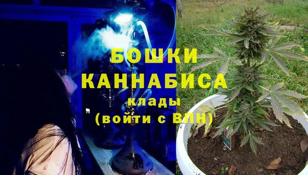 PSILOCYBIN Алзамай