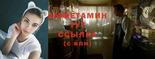 PSILOCYBIN Алзамай